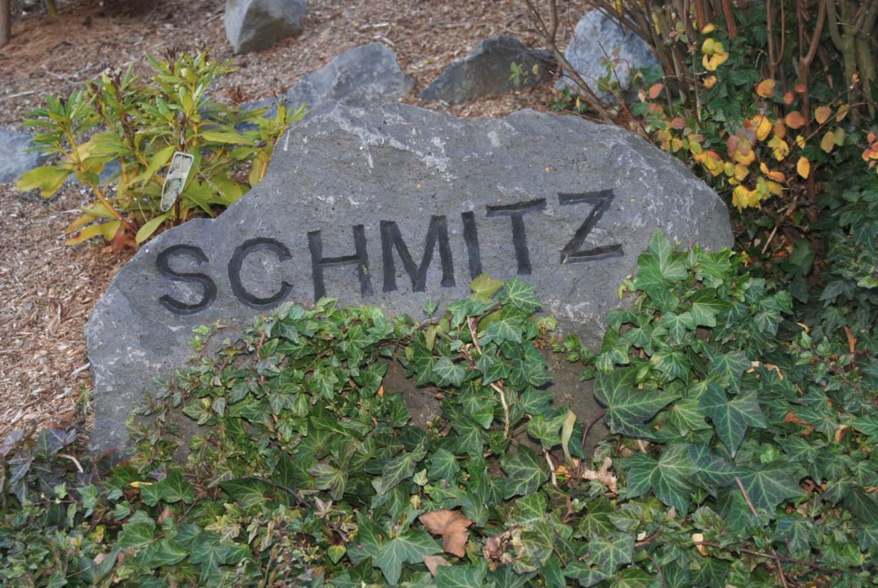 Zimmer Schmitz Anschau Bagian luar foto